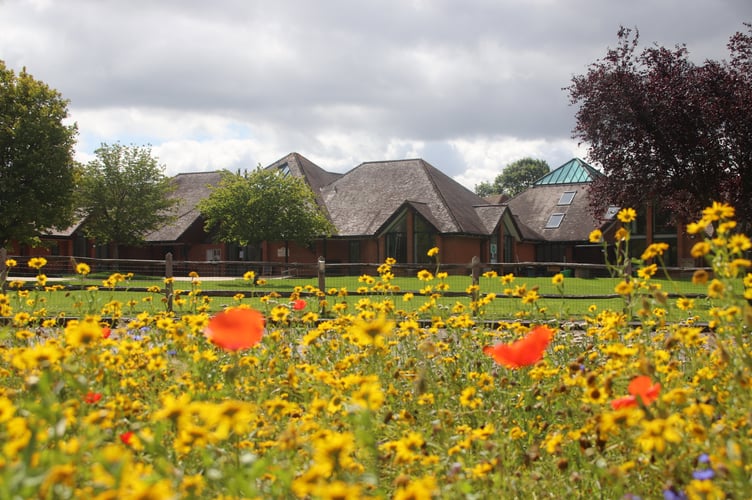 Green school secures wildflower grant.jpg