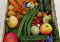 Growing reputation: gardeners impress at Froxfield show