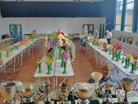 Magic was in the air at Purbrook summer show