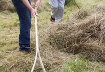 Make hay at Petersfield Community Orchard