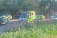 Murder probe launched after toddler dies after being pulled from pond