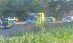 Murder probe launched after toddler dies after being pulled from pond
