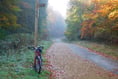 Mountain biking courses have been huge hit at country park