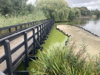 Calls for design rethink as new islands led to Heath Pond stink 