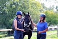 Incredible recovery for horse after horrific injury in gate accident