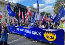 South West Surrey European Movement: Join the fight to get back our European star