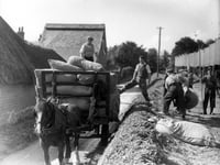 Thirsty work in Bentley: A once-familiar sight in hop-picking season