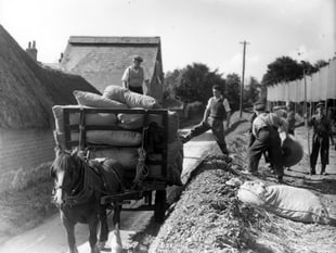 Thirsty work in Bentley: A once-familiar sight in hop-picking season