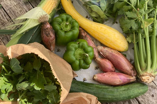 Weather can’t stop the chemical-free growing at Farnham Community Farm