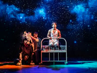 Life of Pi at The New Victoria Theatre is a theatrical masterpiece