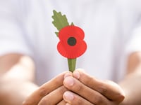 Plastic-free poppies to go on sale for the first time later this month