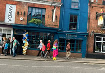 Serina: New wine bar opens its doors in Farnham town centre