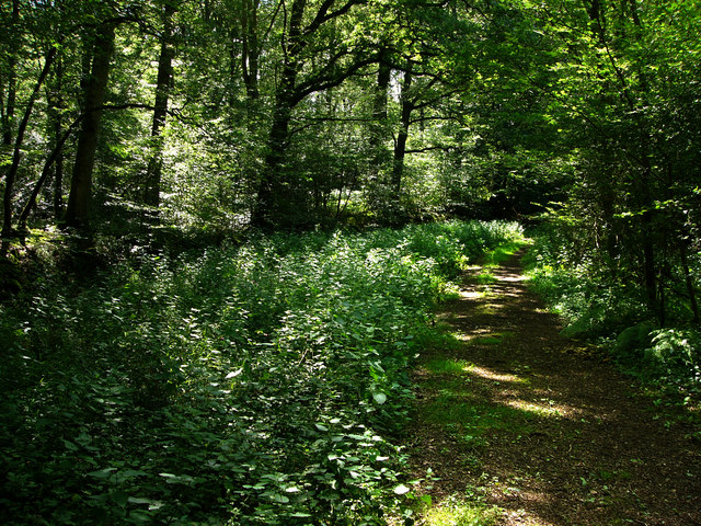 Help Sussex Wildlife expand one of UK's most important nature reserves