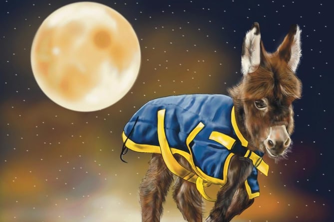 New picture book Moon of Miller's Ark tells the story of Moon the stolen donkey foal from the perspective of her mum Astra