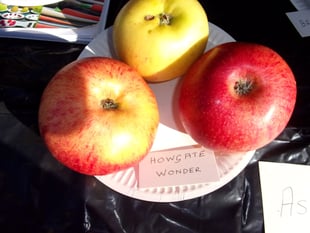 Apple grower brought fruits of labour to South of Butser group