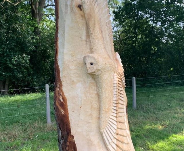 Farnham Town Council to spend £8,000 on tree carvings despite backlash