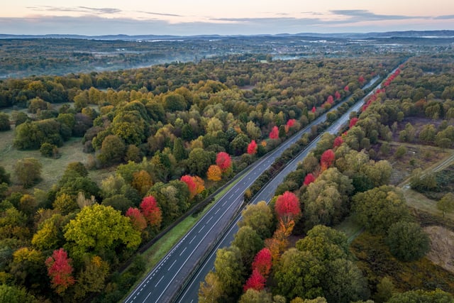 Stunning photos of A3's autumnal memorial to 418 Canadian war heroes