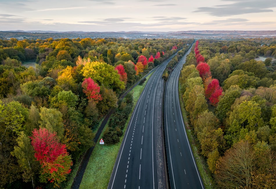 Girl, 7, and woman killed in A3 Hindhead tragedy