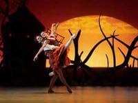 Don Quixote comes to life in exuberant Haslemere Hall show