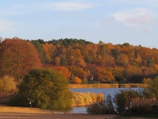 Frensham Ponds' brilliant bogs scoop Loo of the Year award