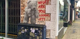 Street artist Hendog creates beary interesting piece in Petersfield