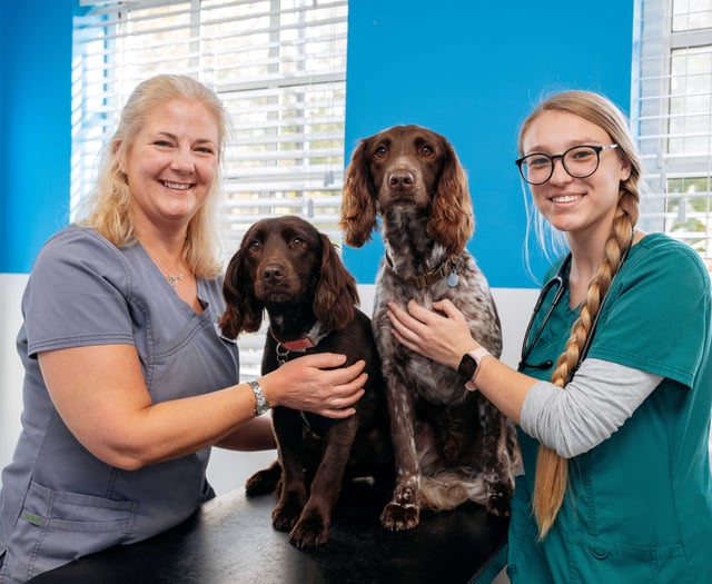 Petersfield vet who saved two dogs makes poisonous mushroom warning