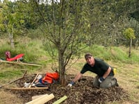 Interest growing as PECAN ready for Petersfield's first Tree Festival