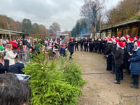Wylds Farm in Liss kicks off Christmas tree sales with festive fun