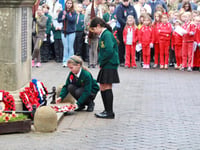 Royal British Legion thank you as Petersfield Poppy Appeal raised £30k
