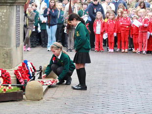 Royal British Legion thank you as Petersfield Poppy Appeal raised £30k