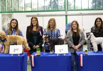 Petersfield dog groomers Bentley’s wins big at competition