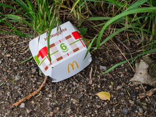 Tice’s Meadow Bird Group: Why we strongly object to McDonald’s