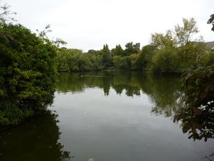 Biodiversity planning law change may fund work at Kings Pond in Alton