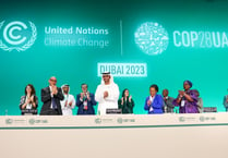 Opinion: What cheer can we take from COP28 agreement?