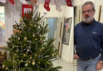 Alton Community Association loves its Christmas tree