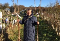 And a purchase of a pear tree: Petersfield group's fruit tree offer