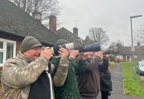 Birdwatchers flock to Farnham to celebrate return of rare waxwings
