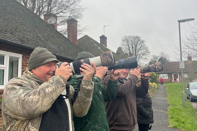 Birdwatchers size up the perfect photo of a wax wing at Haven Way opposite Farnham Hospital
