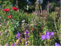 Gilbert White's Garden made RHS 'Partner Garden' in coup for Selborne
