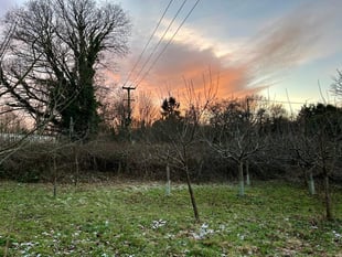 We'll drink to that: come wassailing at Petersfield Community Garden