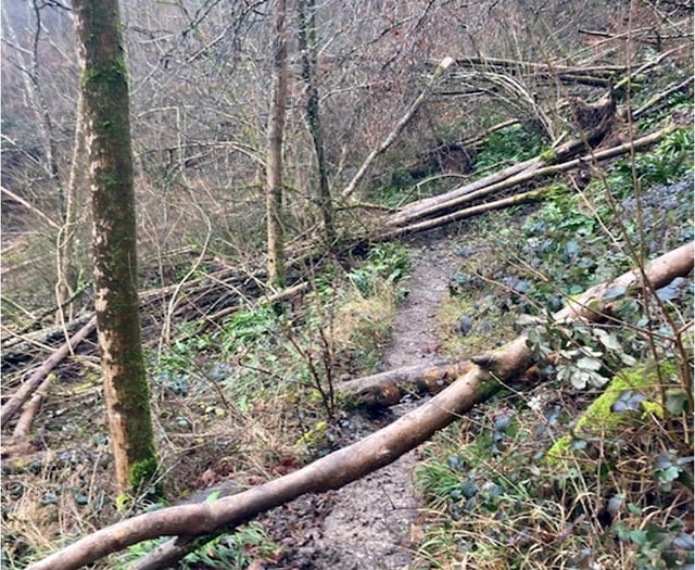 Funding doubts over future of "incredibly dangerous" path near Steep