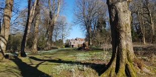 Chawton House hosts second Snowdrop Spectacular on Sunday 