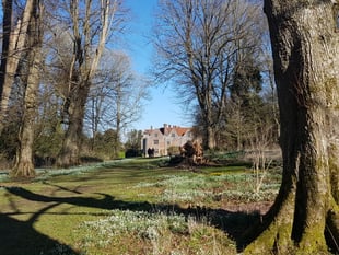 Chawton House hosts second Snowdrop Spectacular on Sunday 