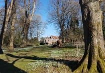 Chawton House hosts second Snowdrop Spectacular on Sunday 