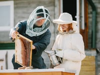 A real buzz: Introduction to beekeeping course at community centre