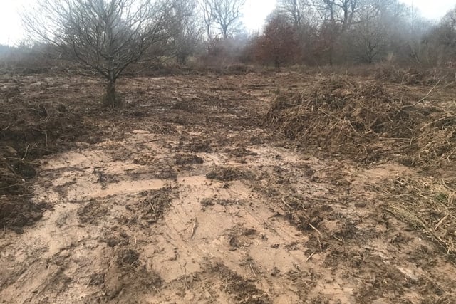 Development sparks fury for bulldozing Chiddingfold wildlife habitat