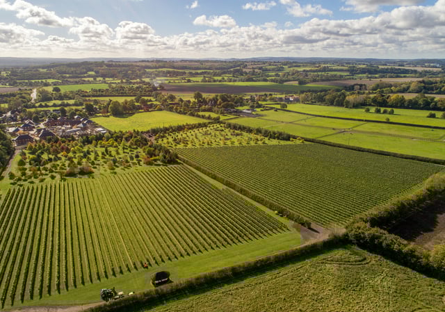 Rail to Trail Walking Festival launched in East Hampshire and Surrey