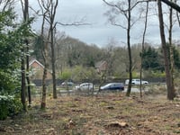 National Trust accused of 'obliterating' wood at beauty spot