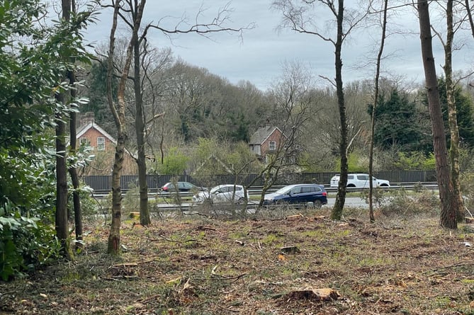 Neighbours and users of Bramshott Chase have complained tree and shrub clearance by the National Trust has exposed the local beauty spot to the constant rumbles, light and air pollution of the A3