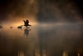 Stunning pond photo sees teen win Young Photographer of the Year prize